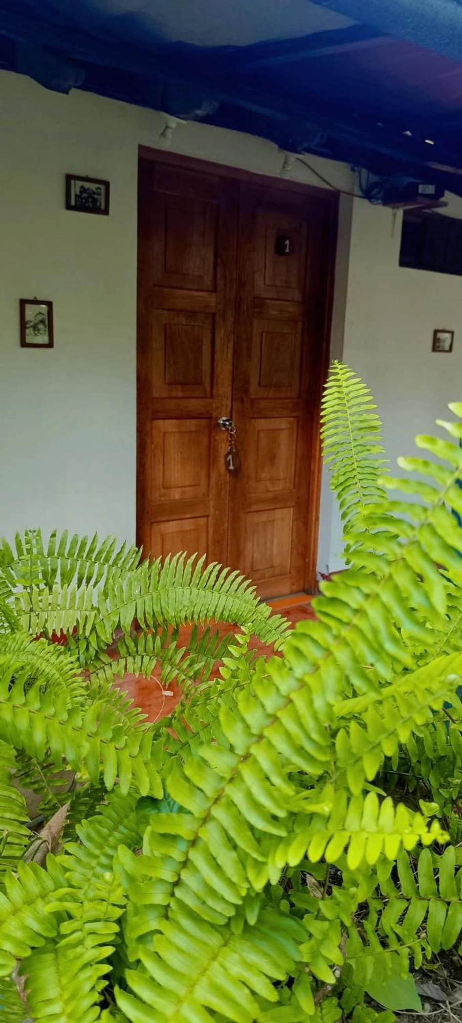 Casa De Los Berrios León 外观 照片